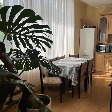 Central Family Apt 70 M2 With Free Parking & Private Entrance Lejlighed Druskininkai
